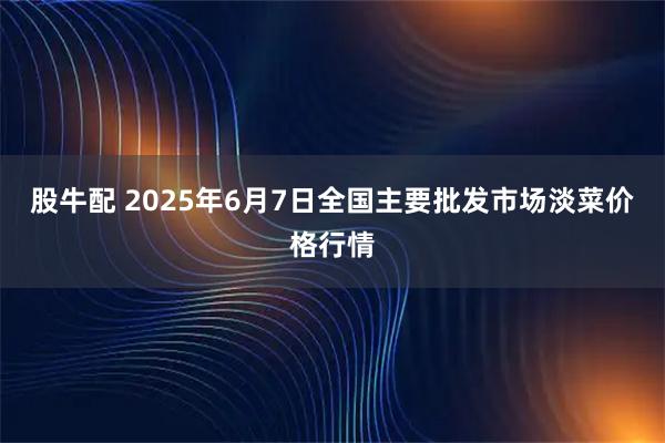 股牛配 2025年6月7日全国主要批发市场淡菜价格行情
